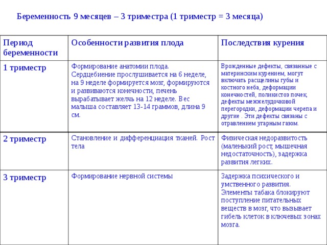 Особенности триместров беременности. Особенности первого триместра беременности. Изменения в первом триместре беременности. Первый триместр особенности. 3 Триместр особенности.