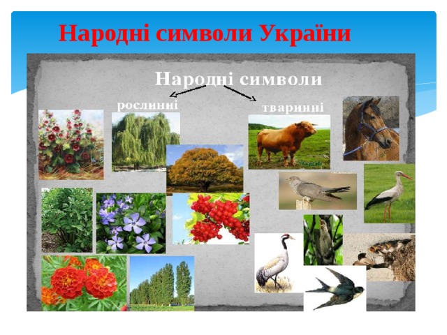 Народні символи України 