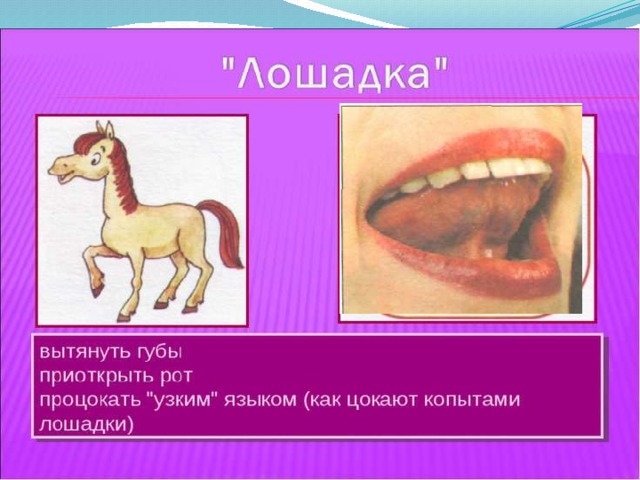 Артикуляционное упражнение лошадка картинка