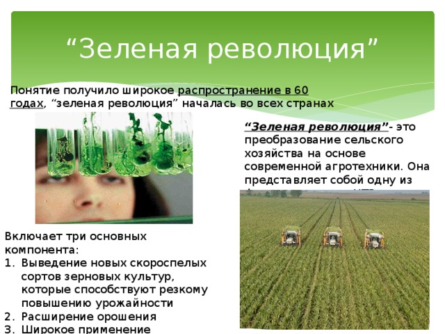 Почему зеленая революция коснулась только. Зеленая революция. Презентация на тему зелёная революция. Зеленая революция в сельском хозяйстве.