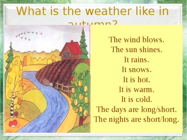 What is the weather like in autumn? The wind blows. The sun shines. It rains. It snows. It is hot. It is warm. It is cold. The days are long/short. The nights are short/long. 