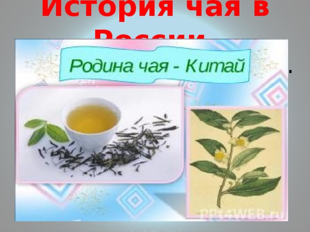 История чая в России. Родина чая-Китай. 