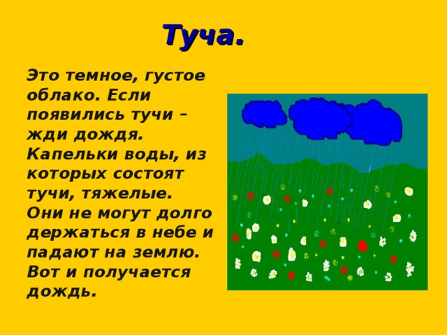 Туча. Это темное, густое облако. Если появились тучи – жди дождя. Капельки воды, из которых состоят тучи, тяжелые. Они не могут долго держаться в небе и падают на землю. Вот и получается дождь. 