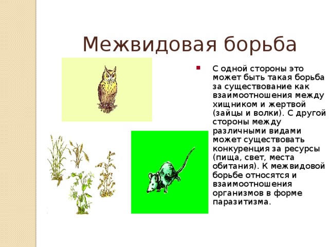 Межвидовая примеры растений