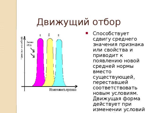 Движущий отбор это