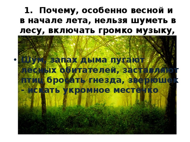 Почему весной слабость. Нельзя шуметь в лесу. Почему нельзя шуметь в лесу. Почему весной нельзя шуметь в лесу. Почему весной и в начале лета нельзя шуметь в лесу.