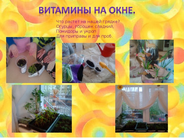 Что растет на нашей грядке? Огурцы, горошек сладкий, Помидоры и укроп Для приправы и для проб. 