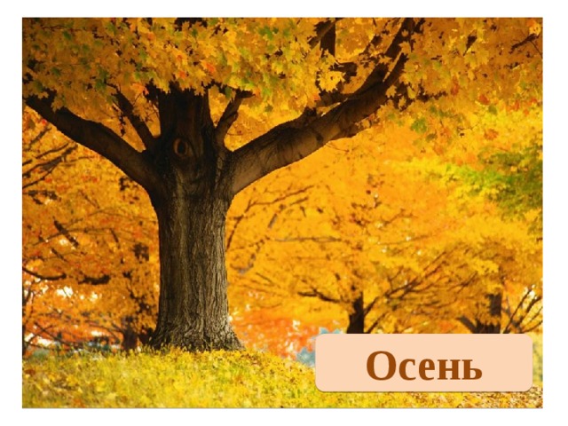 Осень 