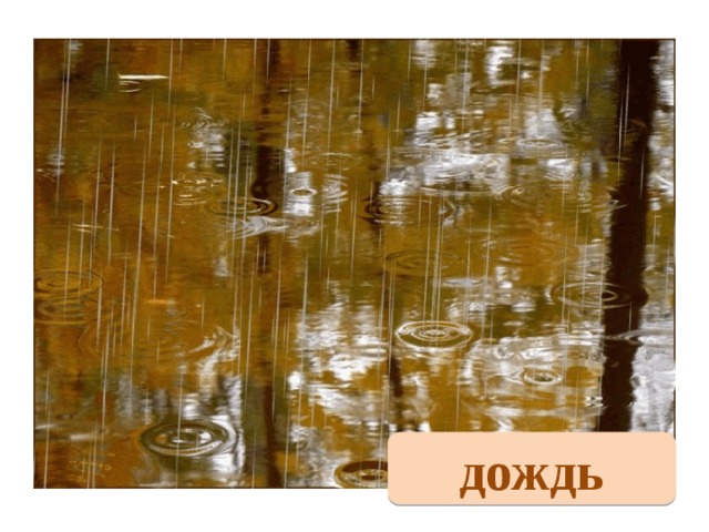 дождь 