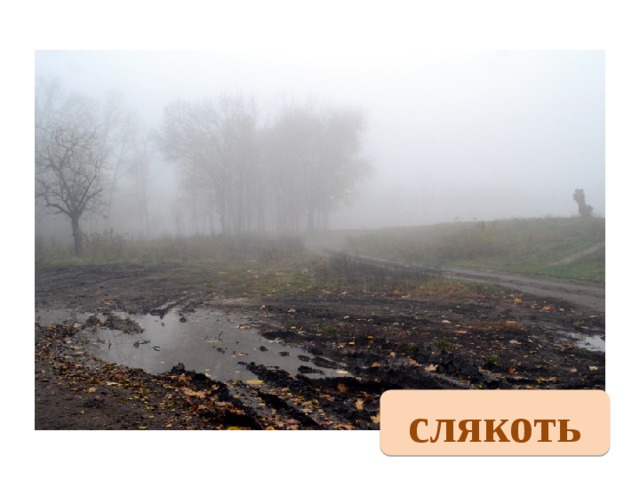 слякоть 