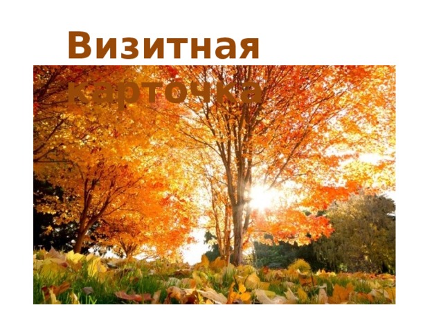 Визитная карточка 