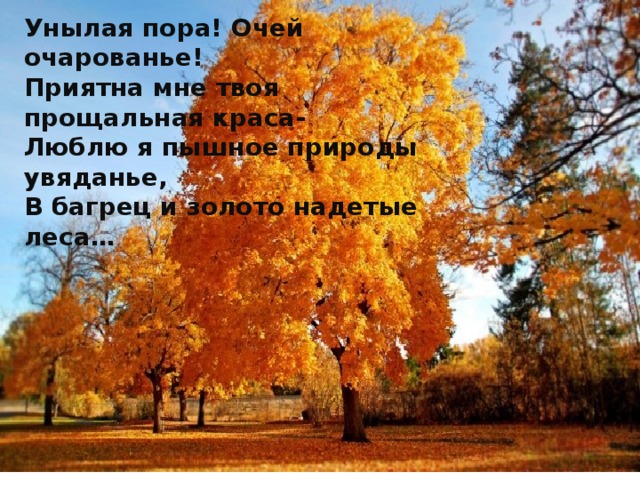 Унылая пора! Очей очарованье! Приятна мне твоя прощальная краса- Люблю я пышное природы увяданье, В багрец и золото надетые леса… 