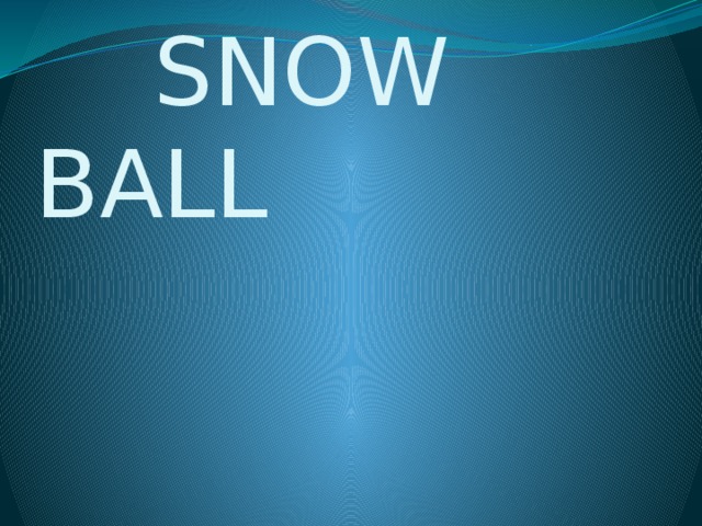  SNOW BALL 