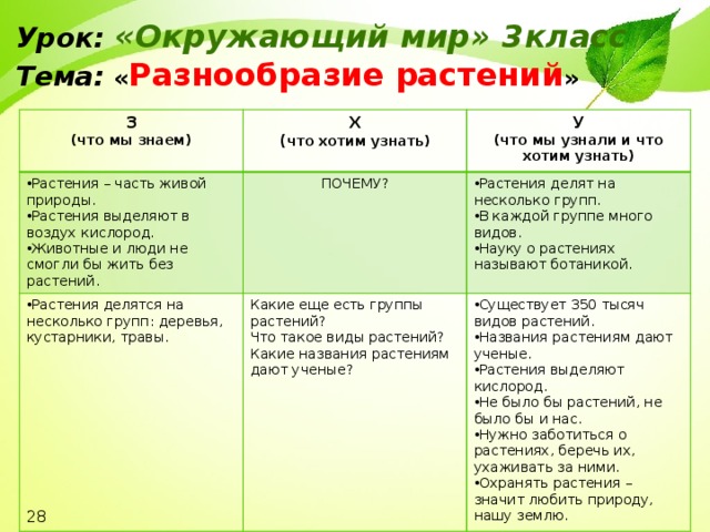 Технологическая карта урока по окружающему миру 3 класс разнообразие растений