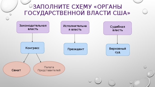 Внимательно рассмотрите схему высшие органы власти в сша