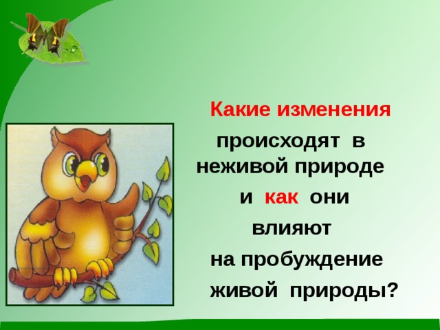   Какие изменения   происходят в неживой природе  и как они  влияют  на пробуждение  живой природы? 