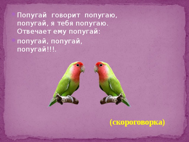 Попугай говорит попугаю, попугай, я тебя попугаю.   Отвечает ему попугай: попугай, попугай, попугай!!! . (скороговорка) 