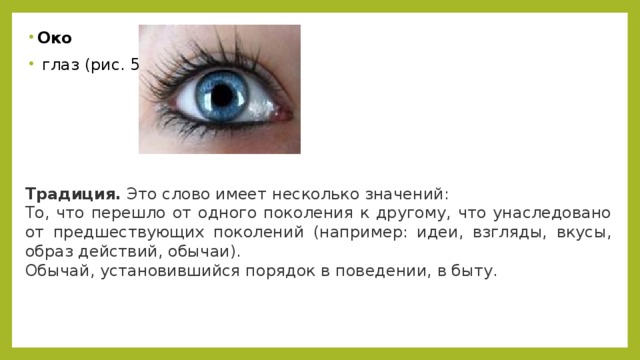Око    глаз (рис. 5).