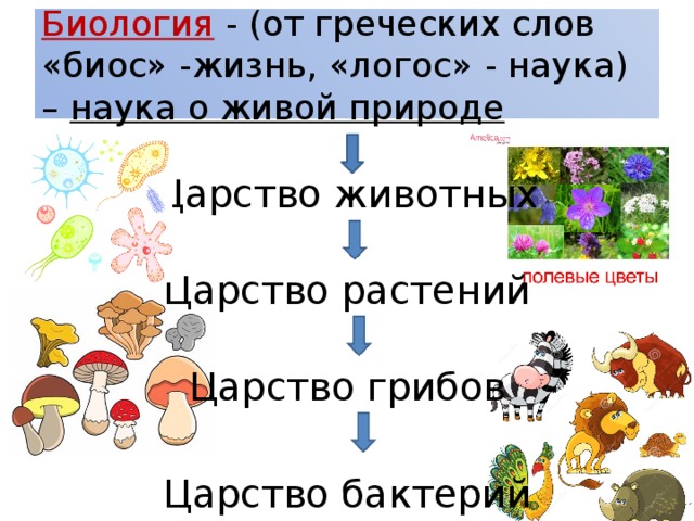 3 класс природа ценность природы для людей презентация