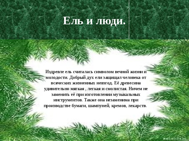 Создание рекламного листа в защиту ели ценного растения наших лесов 6 класс рисунок