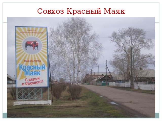 Совхоз красный маяк в чертаново фото