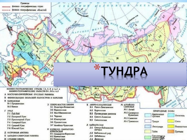 Зона тундр располагается на севере россии. Тундра на карте. Географическое положение северных безлесных зон. Северные безлесные зоны на карте.