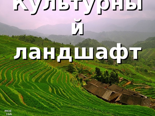 Культурные ландшафты презентация по географии