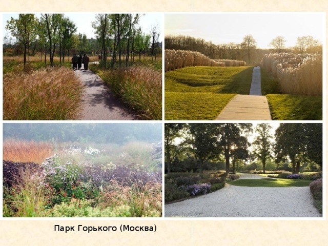 Парк Горького (Москва) 