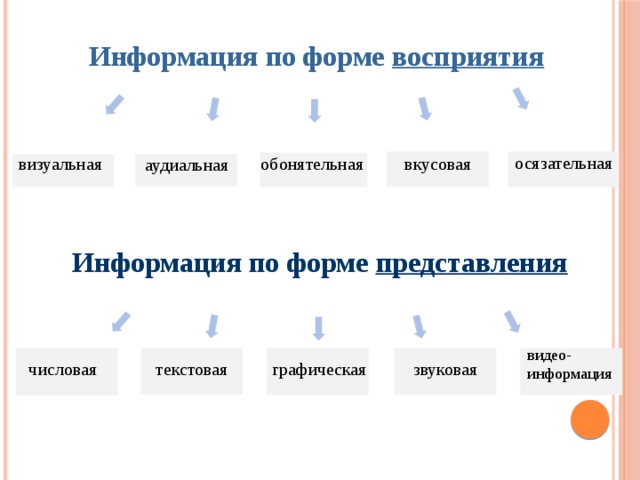 Информация по форме восприятия осязательная вкусовая обонятельная визуальная аудиальная Информация по форме представления видео- информация графическая звуковая числовая текстовая 