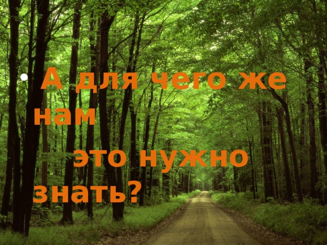  А для чего же нам  это нужно знать?   