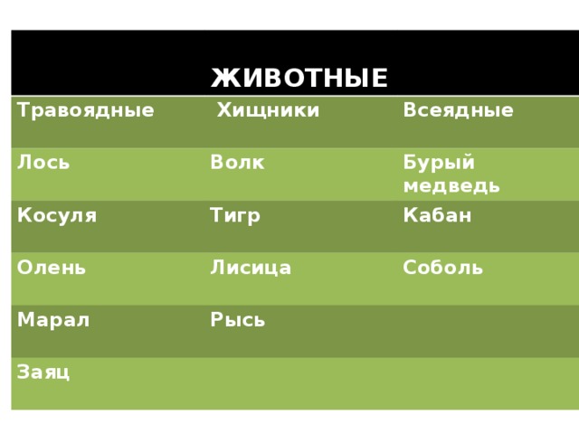  ЖИВОТНЫЕ Травоядные  Хищники Лось Всеядные Волк   Косуля Олень Бурый медведь Тигр Марал  Лисица Кабан Соболь Рысь Заяц   