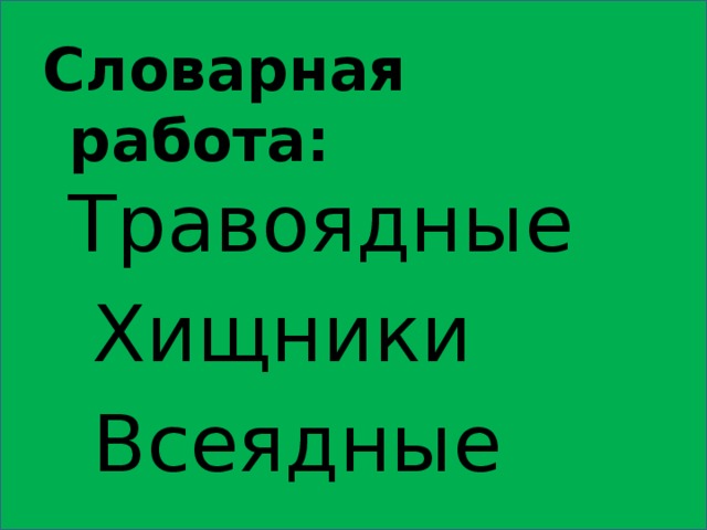 Словарная работа: Травоядные  Хищники  Всеядные 