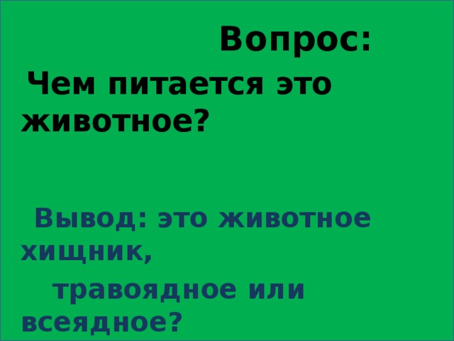  Вопрос:  Чем питается это животное?    Вывод: это животное хищник,  травоядное или всеядное? 