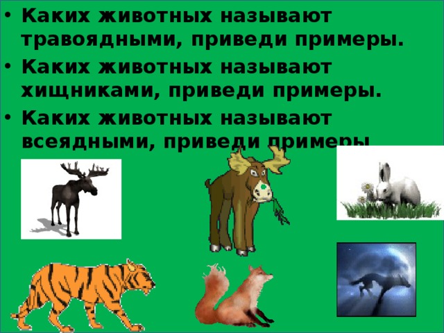 Каких животных называют травоядными, приведи примеры. Каких животных называют хищниками, приведи примеры. Каких животных называют всеядными, приведи примеры . 