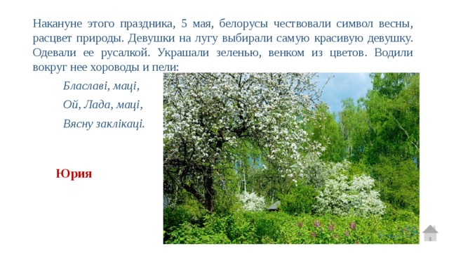 Накануне этого праздника, 5 мая, белорусы чествовали символ весны, расцвет природы. Девушки на лугу выбирали самую красивую девушку. Одевали ее русалкой. Украшали зеленью, венком из цветов. Водили вокруг нее хороводы и пели: Блаславі, маці, Ой, Лада, маці, Вясну заклікаці. Юрия 