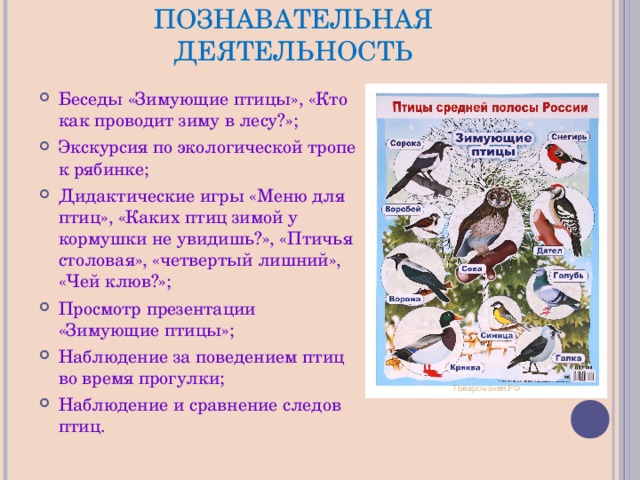 ПОЗНАВАТЕЛЬНАЯ ДЕЯТЕЛЬНОСТЬ Беседы «Зимующие птицы», «Кто как проводит зиму в лесу?»; Экскурсия по экологической тропе к рябинке; Дидактические игры «Меню для птиц», «Каких птиц зимой у кормушки не увидишь?», «Птичья столовая», «четвертый лишний», «Чей клюв?»; Просмотр презентации «Зимующие птицы»; Наблюдение за поведением птиц во время прогулки; Наблюдение и сравнение следов птиц. 