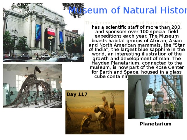Museum of Natural History The American Museum of Natural History has a scientific staff of more than 200, and sponsors over 100 special field expeditions each year. The Museum boasts habitat groups of African, Asian and North American mammals, the 