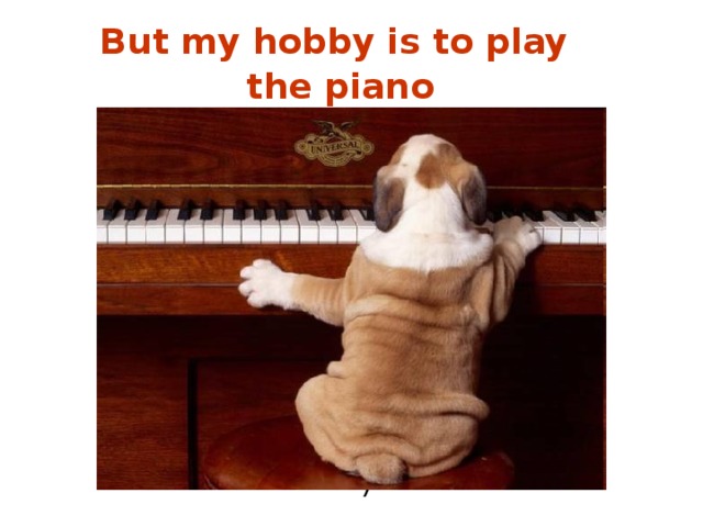 But my hobby is to play the piano   =) 
