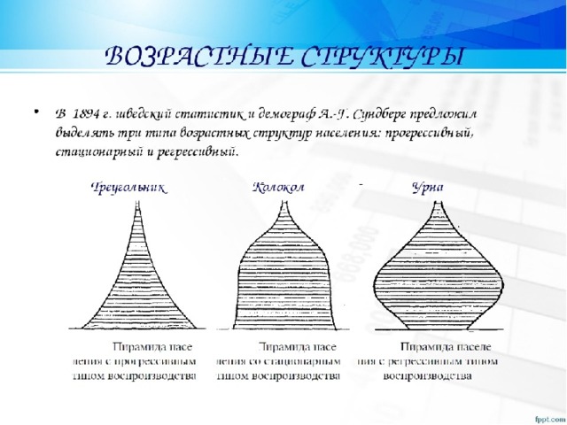 Половозрастные пирамиды презентация