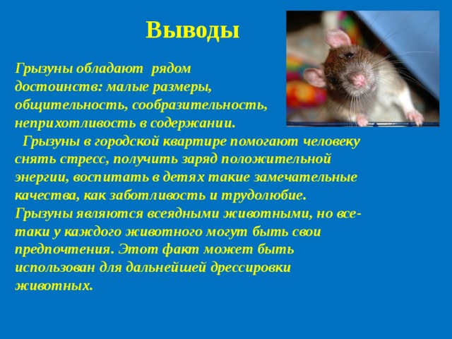 Общая характеристика грызунов. Вывод о грызунах. Грызуны презентация. Проект про грызунов. Грызуны доклад.