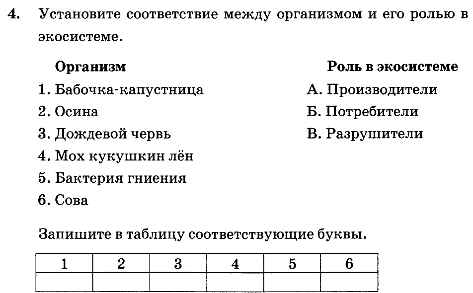 Тест по биологии 6