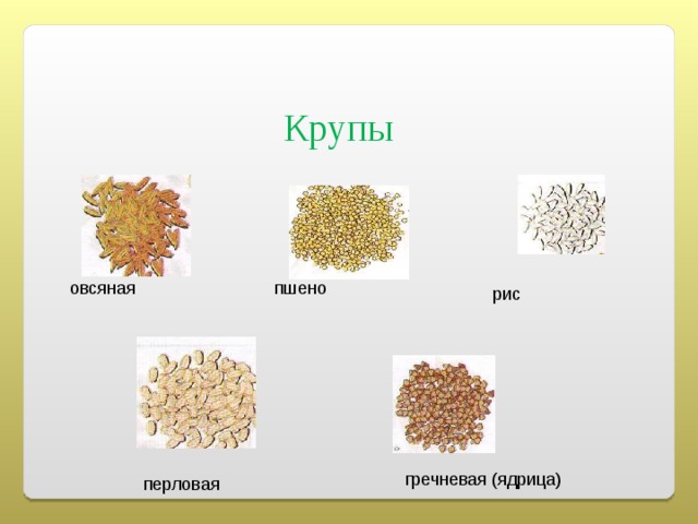 Название каш из разных круп с картинками