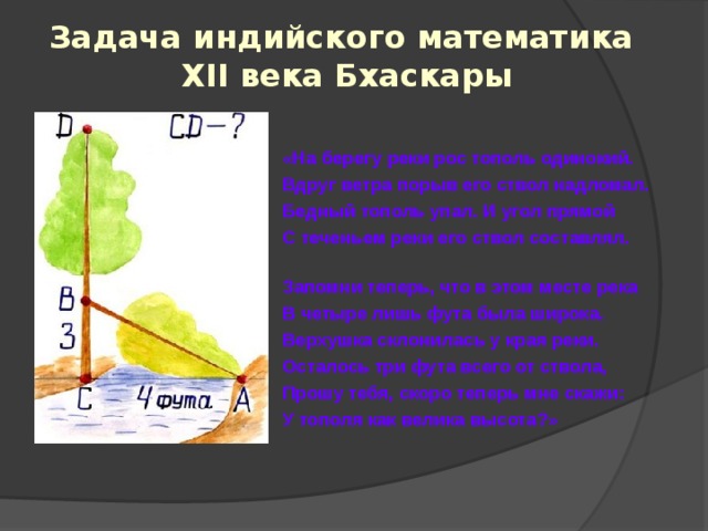 Задача индийского математика  XII века Бхаскары  «На берегу реки рос тополь одинокий. Вдруг ветра порыв его ствол надломал. Бедный тополь упал. И угол прямой С теченьем реки его ствол составлял. Запомни теперь, что в этом месте река В четыре лишь фута была широка. Верхушка склонилась у края реки. Осталось три фута всего от ствола, Прошу тебя, скоро теперь мне скажи: У тополя как велика высота?» 