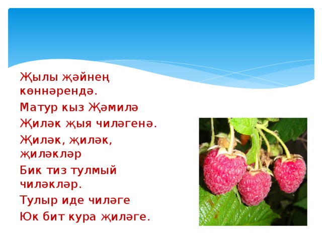 Җылы җәйнең көннәрендә. Матур кыз Җәмилә Җиләк җыя чиләгенә. Җиләк, җиләк, җиләкләр Бик тиз тулмый чиләкләр. Тулыр иде чиләге Юк бит кура җиләге. 