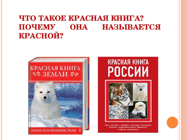 Проект красная книга сахалинской области