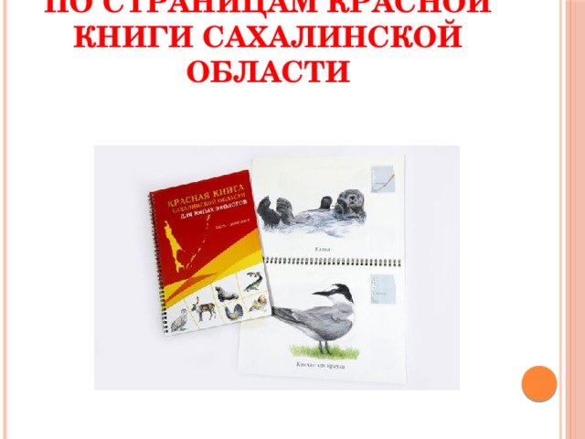 Проект красная книга сахалинской области