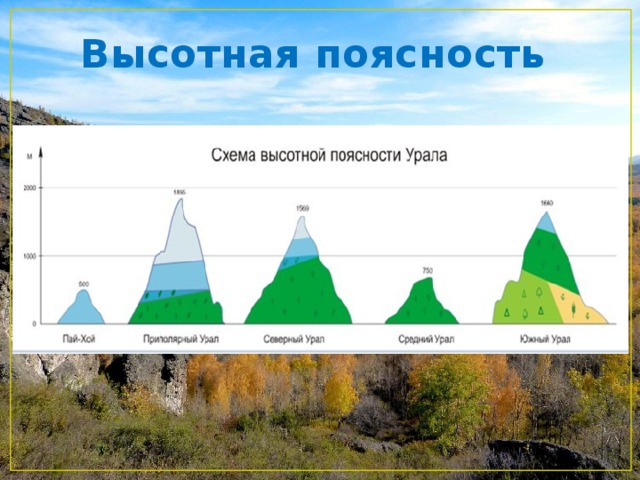 Используя схемы высотной поясности установите набор высотных поясов в горах урала и южной сибири