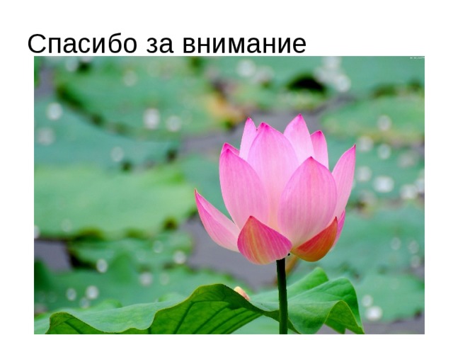 Спасибо за внимание 