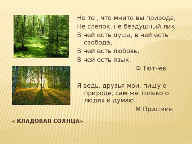 Не то что мните вы природа стихотворение. Ф.И. Тютчева «не то, что мните вы, природа». Не то что мните вы природа. Не то что мните вы. Стих не то что мните вы.