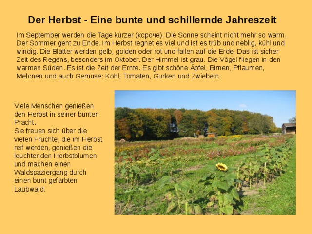 Der sommer der herbst